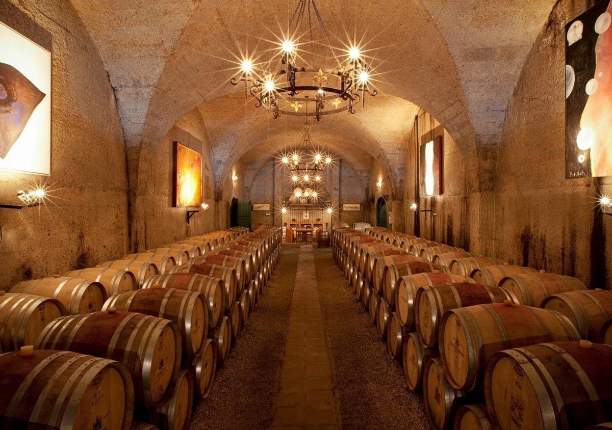 Виноградники Стелленбос